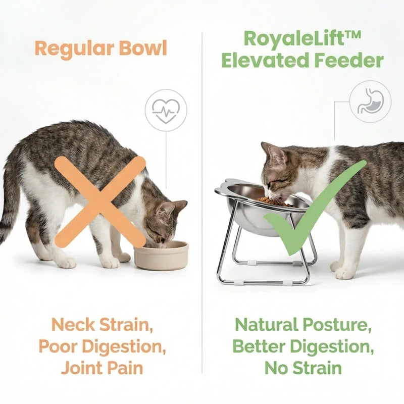 RoyaleLift™ Elevated Feeding Bowl